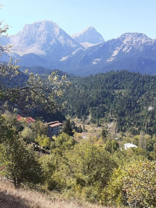 Dremissa Vila